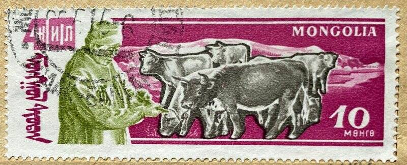 Марка почтовая «Крупный рогатый скот». Погашена. Серия: 40 годовщина Победы Народной революции: Животноводство