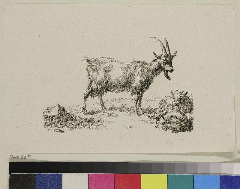 Этюд с козой и козлятами, гравюра