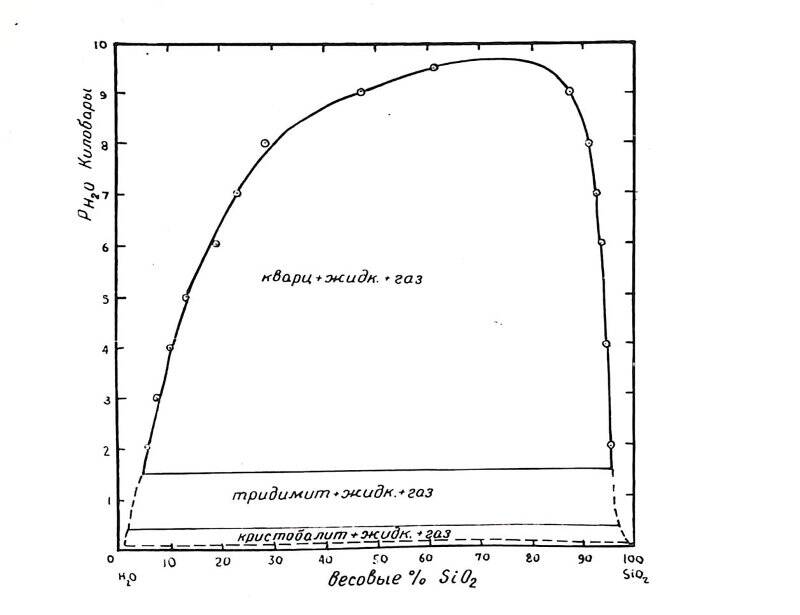 Фотокопия. Рисунок физико-химических диаграмм (Тема:«Растворимость твердых веществ в газах»).