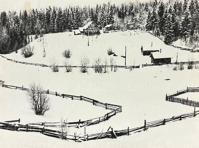 Фото, сельский мотив, автор Казнин В.А., ч/б, 1980 г.