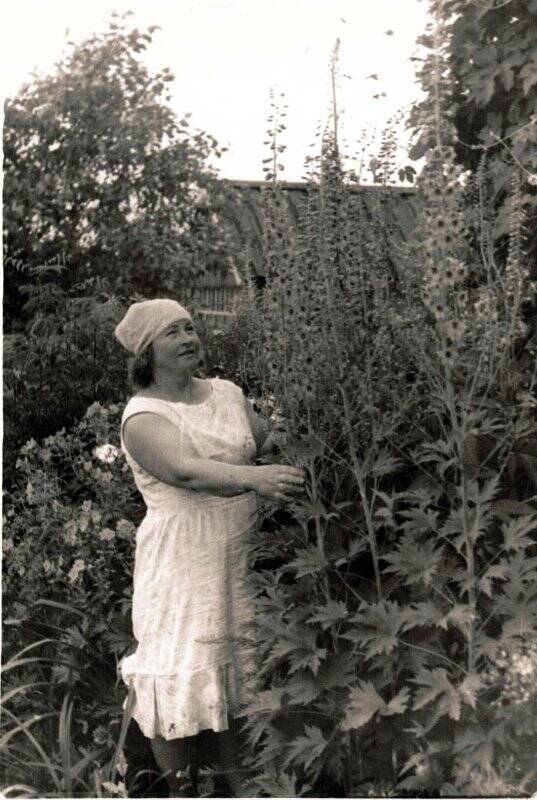 Фотография. Анисимова Галина Ивановна на садовом участке в цветнике. 1966 г.
