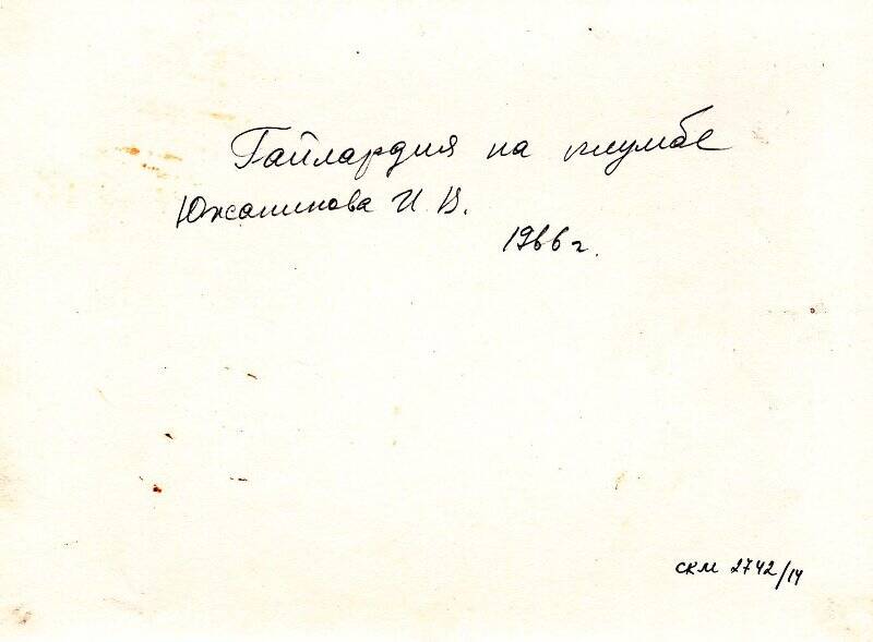 Фотография. Соликамск. Мичуринский сад. Гайлардия на клумбе И.В. Южанинова. 1966 г.