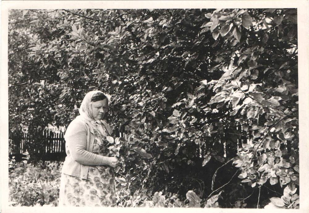 Фото. Иванова Мария Рудольфовна, жена Германа Ивановича, в семейном саду