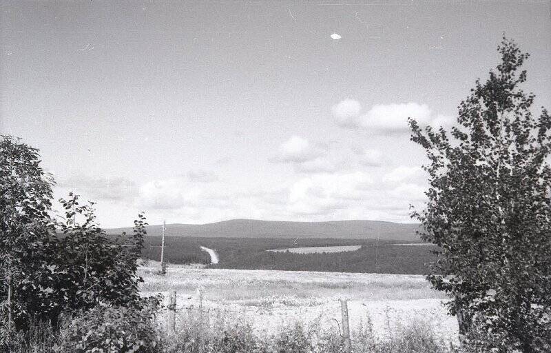 Коллекция негативов «Николаевский район 1950-1980 годы. Природа Николаевского района».