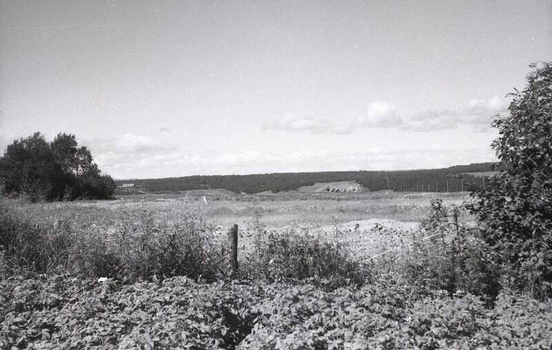 Коллекция негативов «Николаевский район 1950-1980 годы. Природа Николаевского района».