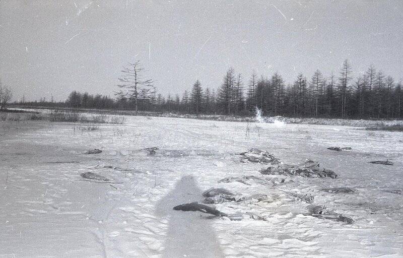 Коллекция негативов «Николаевский район 1950-1980 годы. Речка Коль зимой».