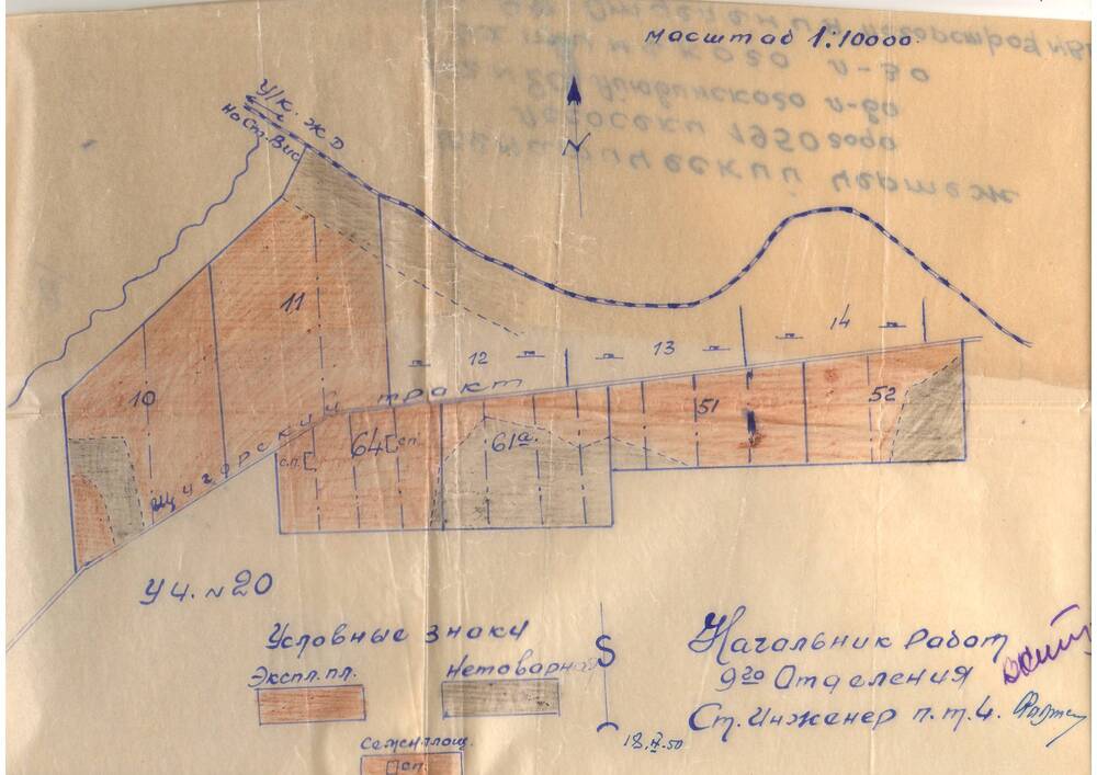 Схематический чертеж лесосеки 1950 года