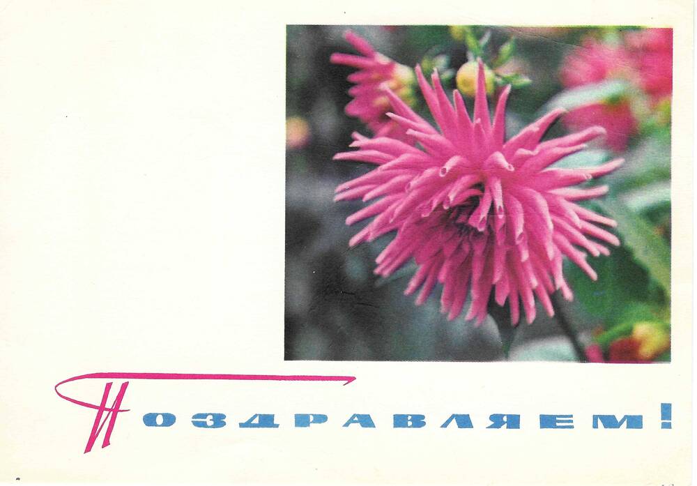 Открытка Р. Я. Кац Ел. Ф. Гнесиной (март 1966 г.)