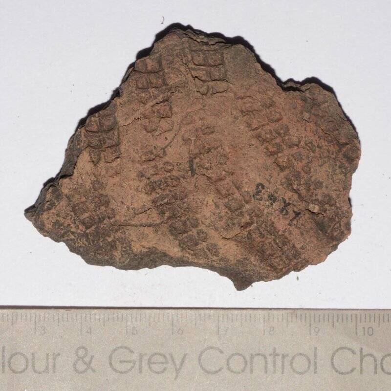 Стенка  волосовского сосуда (фрагмент) эпохи энеолита с неолитической стоянки Польцо