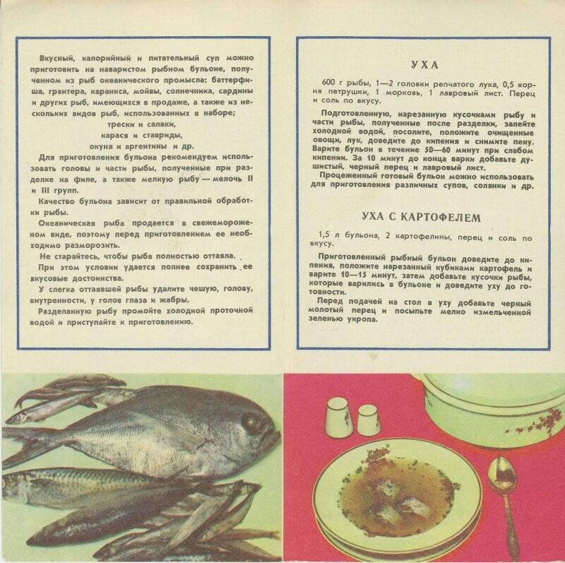Рекламная листовка. «Рыбные супы»