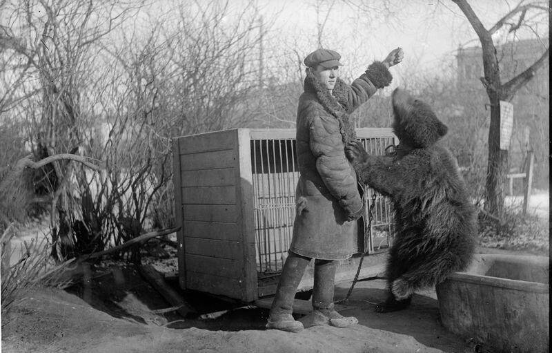 Западно-Сибирский краевой музей. Зоосад. Мужчина с медведем, негатив стеклянный