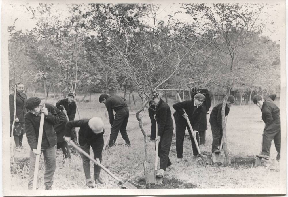 Фотография. Учащиеся школы № 9 г. Орска окапывают деревья.