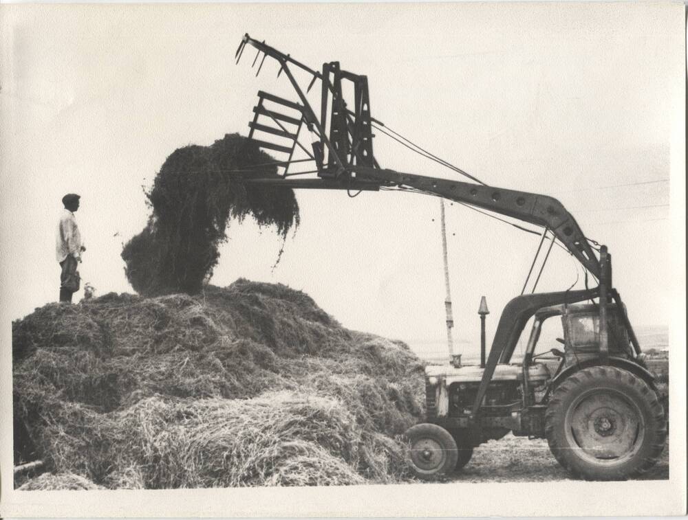 Фотография. Совхоз «Прогресс» Гайского района Оренбургской области. 1971 г. Сено с помощью стогометателя укладывается в скирды.
