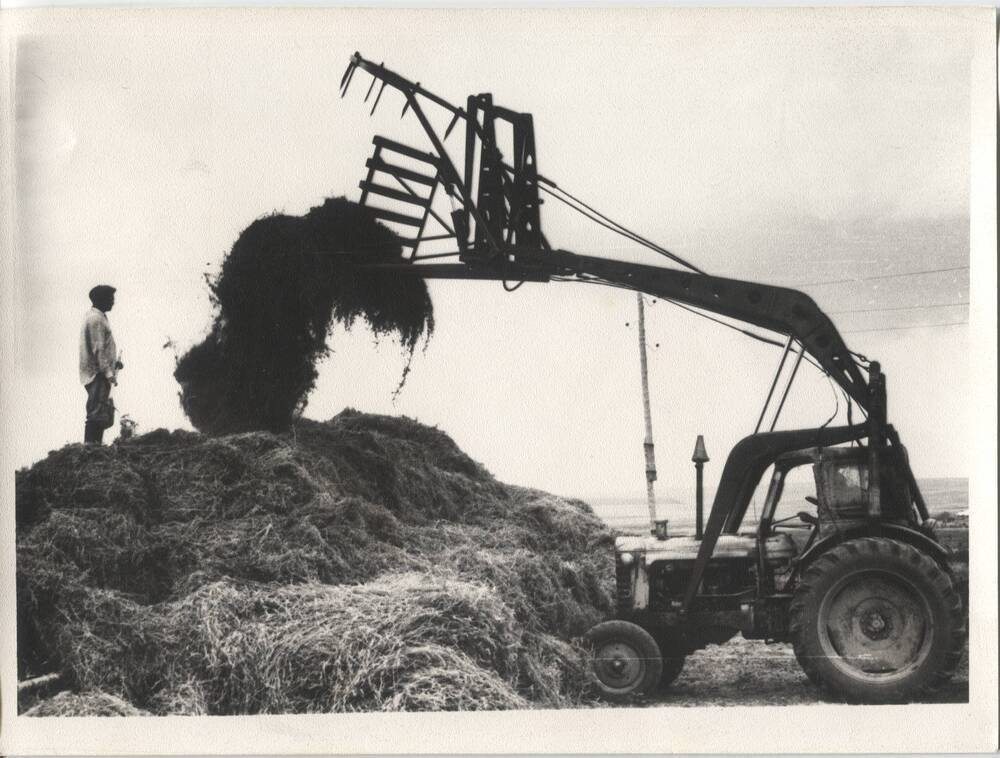 Фотография. Совхоз «Прогресс» Гайского района Оренбургской области. 1971 г. Сено с помощью стогометателя укладывается в скирды.