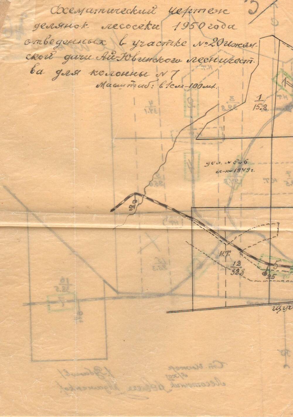 Схематический чертеж делянок лесосеки 1950 года