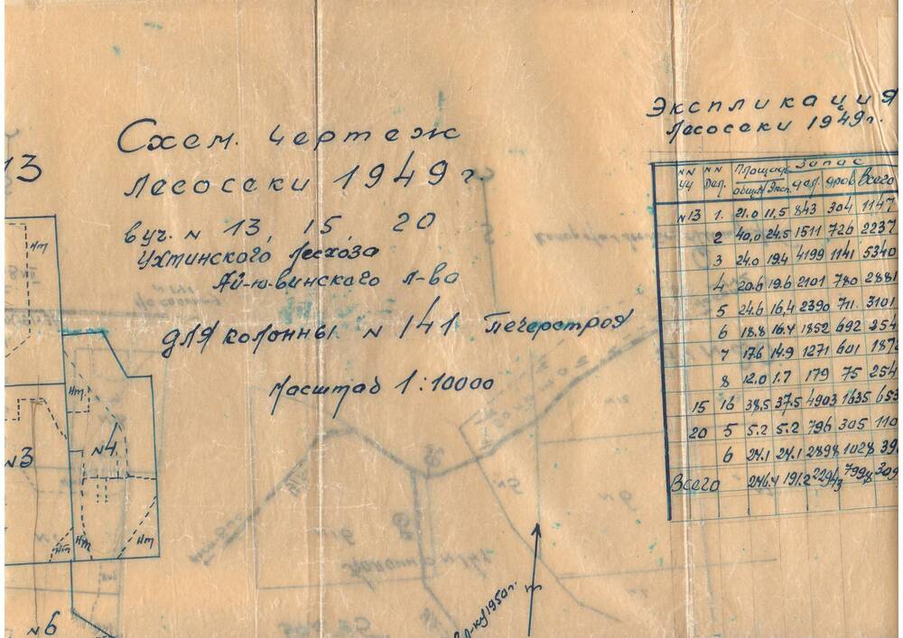 Схематический чертеж лесосеки 1949 года