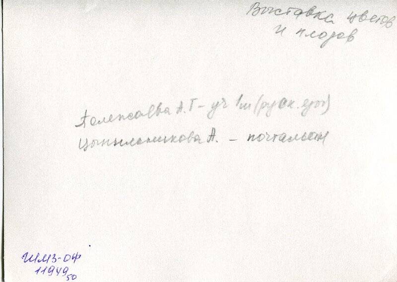 Фотография.  Выставка цветов и плодов в Шушенском