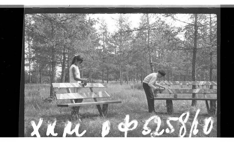 Негативы. Фотонегатив. Создание парка в с. Черное Озеро в 1972 году, лесничими Озерного школьного лесничества