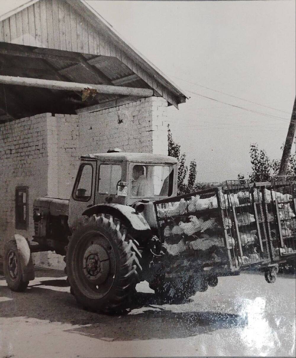 Фотография из альбома Птицефабрика им. 62 Армии