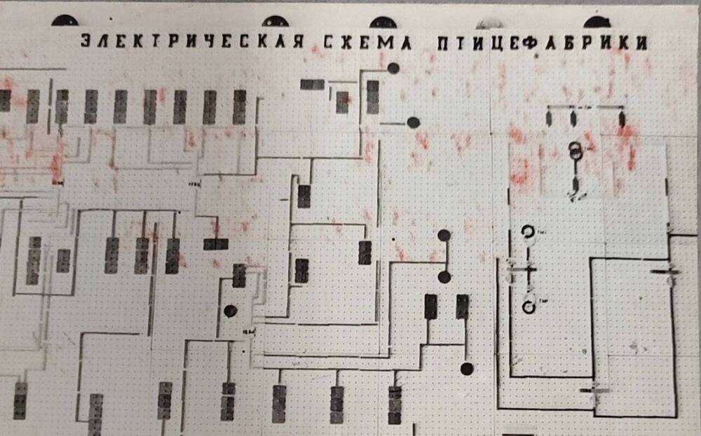 Фотография из альбома Птицефабрика им. 62 Армии