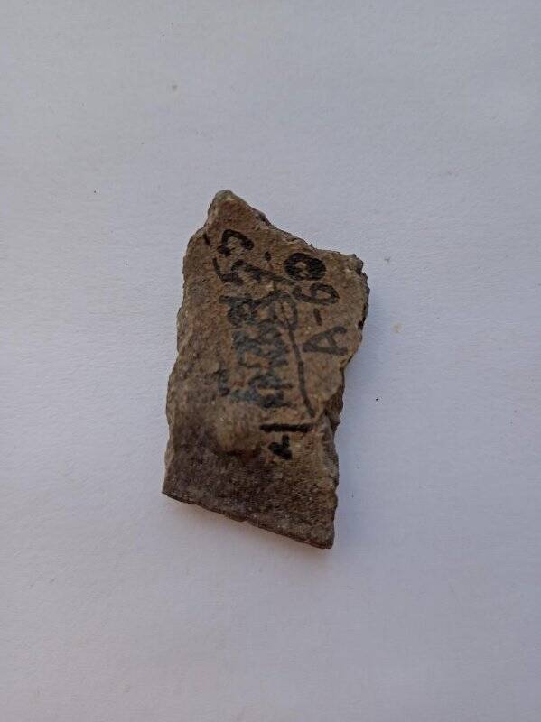 Фрагмент венчика сосуда тынского типа из раскопок Туманского селища в 1962 г.