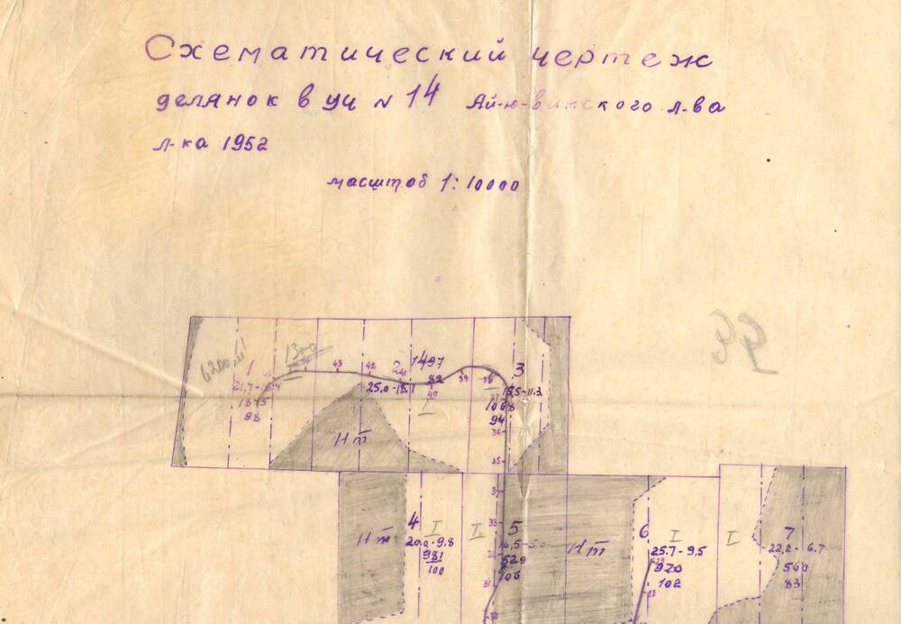 Схематический чертеж делянок 