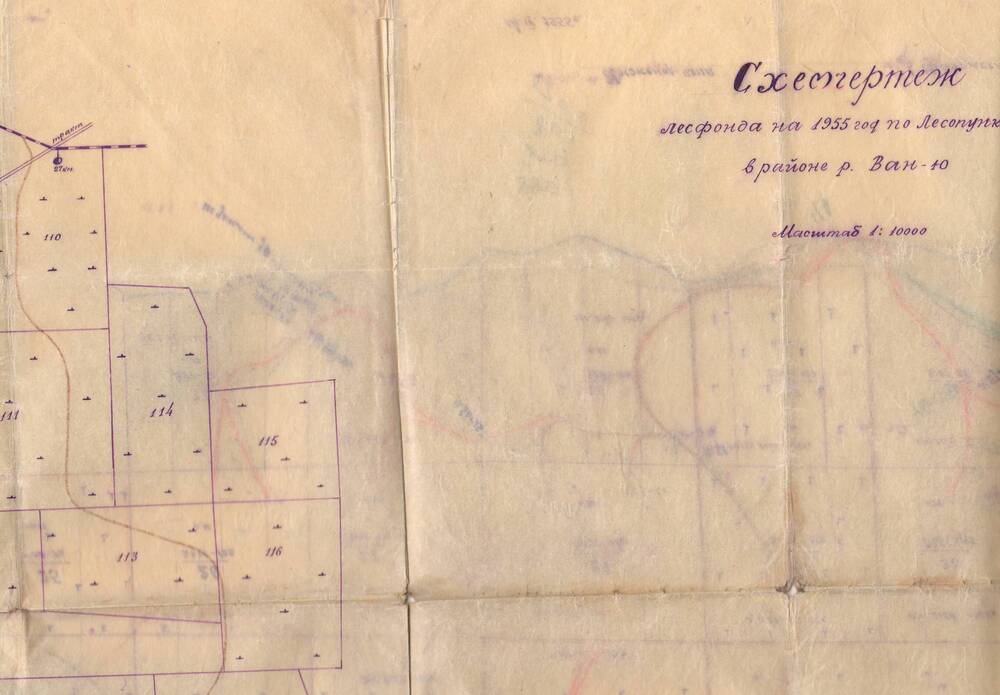Схематический чертеж лесфонда на 1955 год