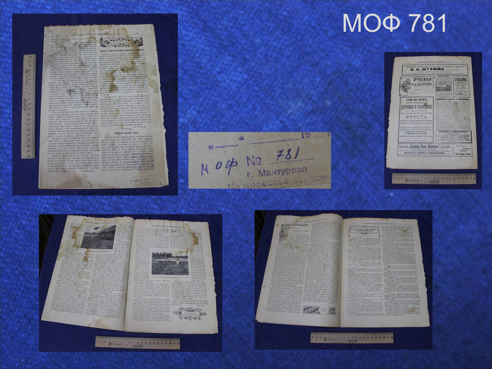 Журнал «Прогрессивное садоводство и огородничество». №37. 1912 г.