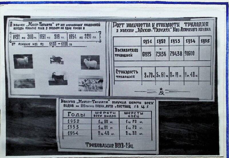 Фотография «Стенд с данными колхоза «Мухор - Тархата». »