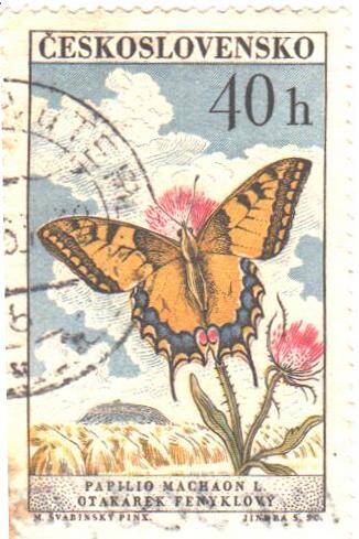 Почтовая марка Чехословакии. Бабочка Орегонский ласточкин хвост (Papilio Machaon).