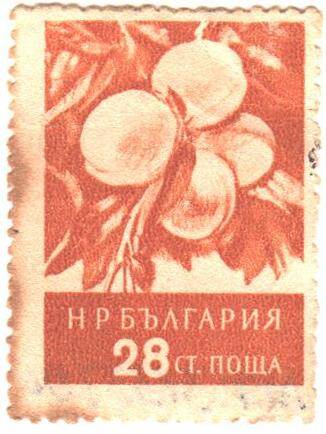 Почтовая марка НРБолгарии. Ветка с персиками.
