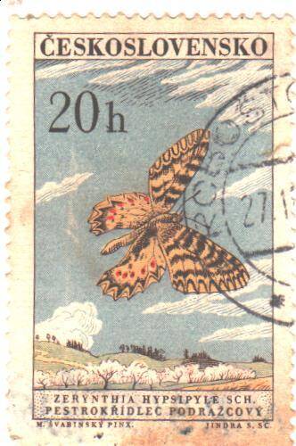 Почтовая марка Чехословакии. Бабочка Южный фестон (Zerynthia polyxena).