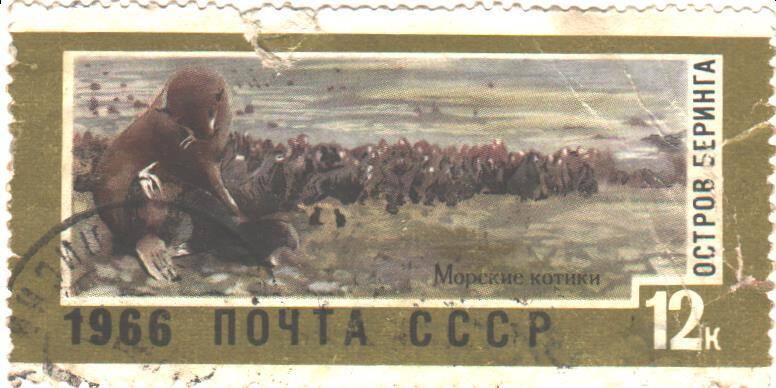 Почтовая марка СССР 1966 год. Остров Беринга. Морские котики. Номиналом 12 копеек.