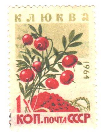 Почтовая марка СССР 1964 год. Клюква. Номиналом 1 копейка.