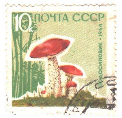 Почтовая марка СССР 1964 год. Подосиновик. Номиналом 10 копеек.