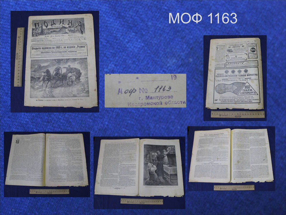 Журнал «Родина». №50. 1904 г.