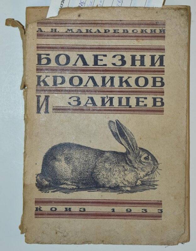 Книга Болезни кроликов и зайцев