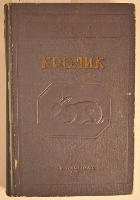 Книга. Кролик