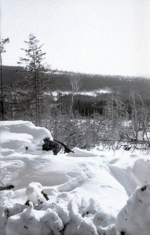 Коллекция негативов «Николаевский район 1950-1980 годы. Лесозаготовки».