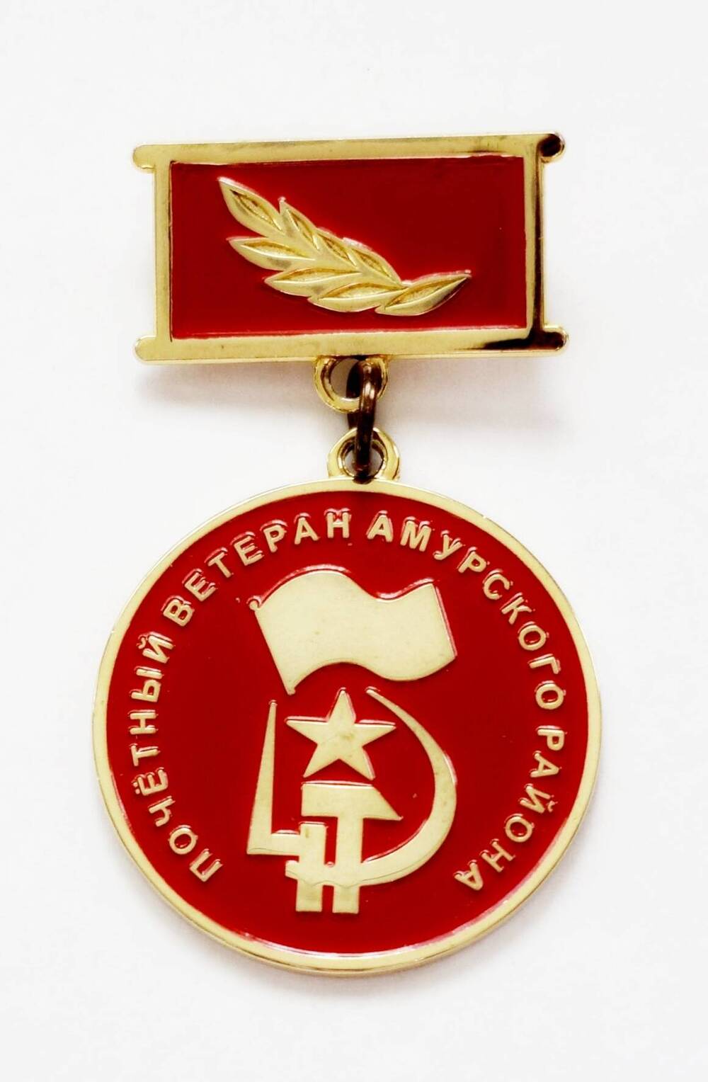 Знак «Почётный ветеран Амурского района»