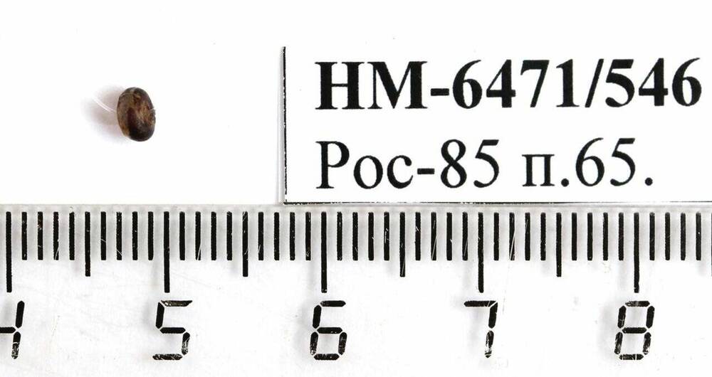 Бусина бочковидная. Рос-85 п.65.








 





















































 
