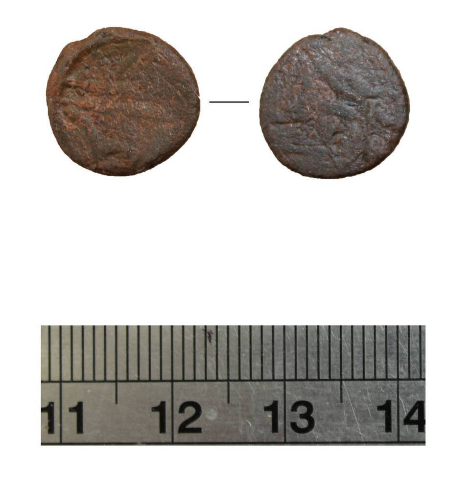 Монета античная. Фаногория.