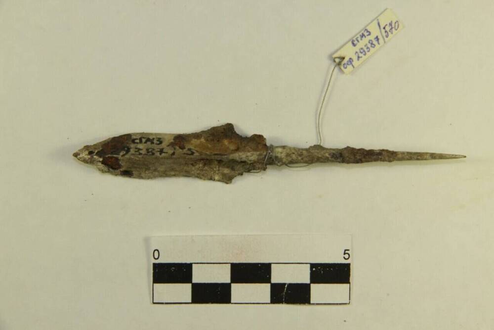 Наконечник стрелы трехлопастный, черешковый, с утяжеленной трехгранной головкой и косо срезанными к черешку лопастями. Клин-Яр-III, п.363, заполнение входной шахты. 