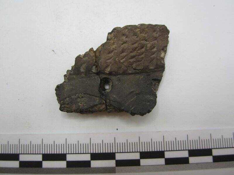 Фрагмент венчика керамического сосуда (склеен с ТОКМ 11474/159)