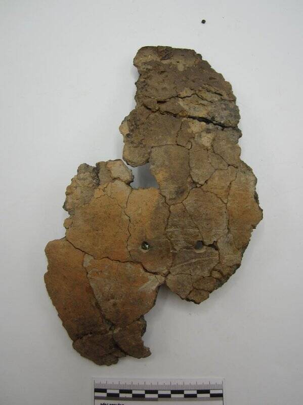 Фрагмент венчика керамического сосуда (склеен с ТОКМ 11474/874-876, 878-879, 883,891)