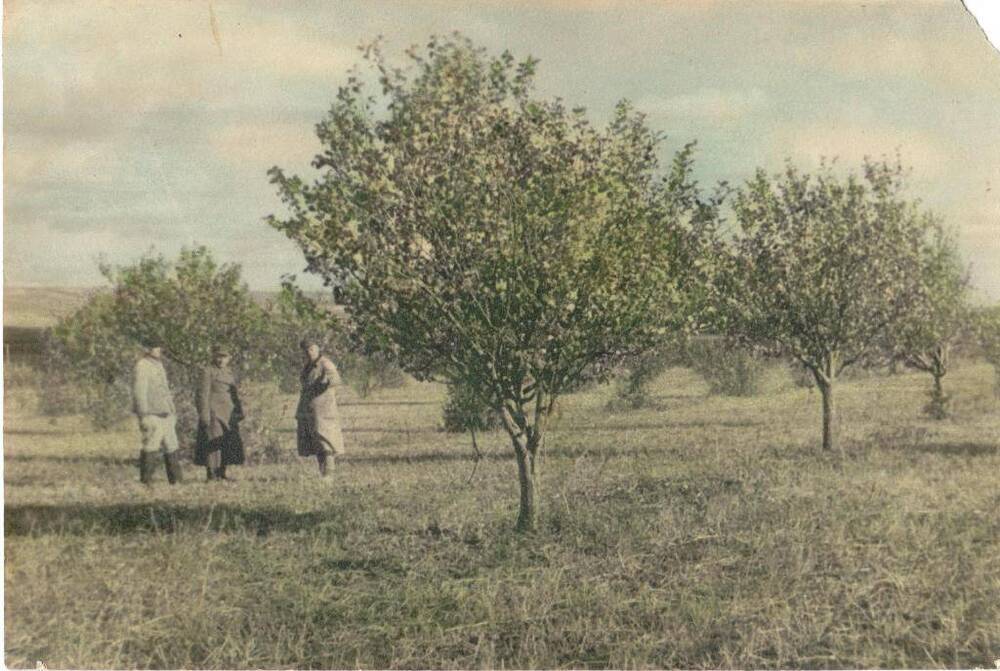 Фотография видовая цветная.