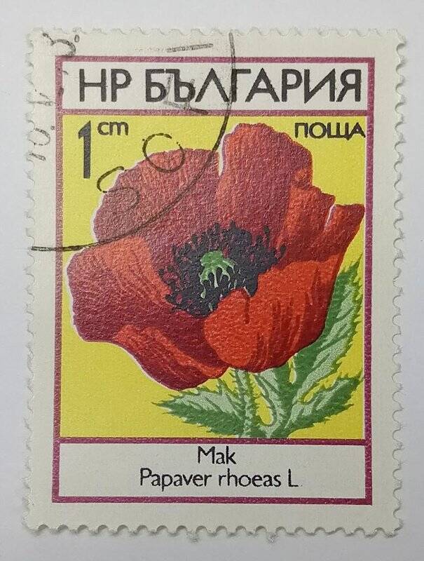 Марка. Марка почтовая. «Полевые цветы. Мак (Papaver rhoeas L)». 1 стотинка