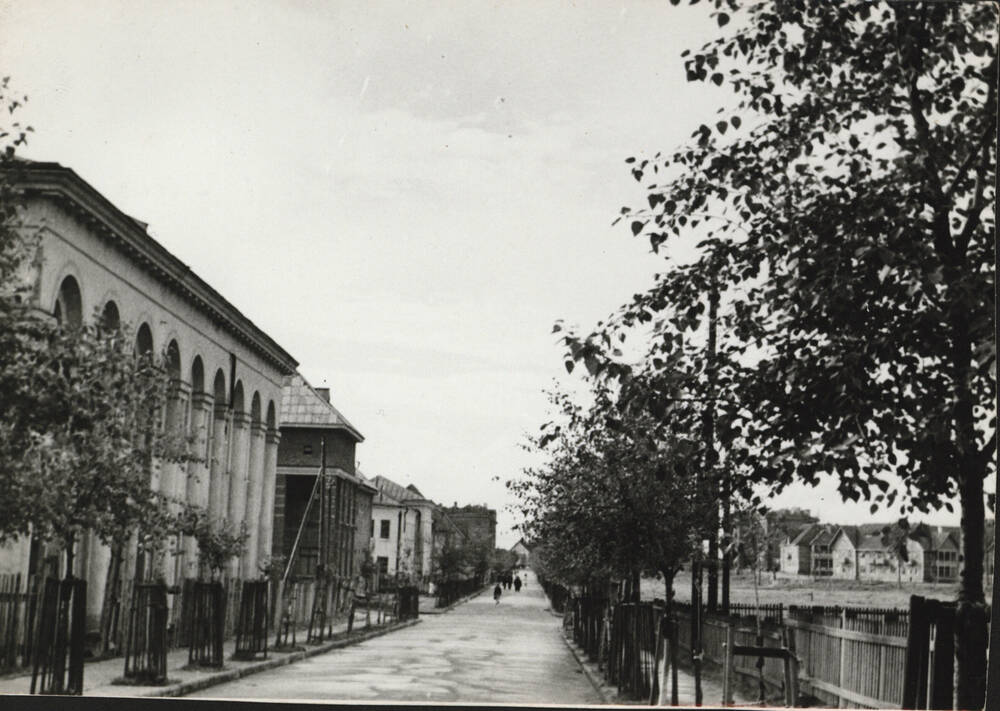 Фотография. Улица Сталина.  Начало 1950-х годов