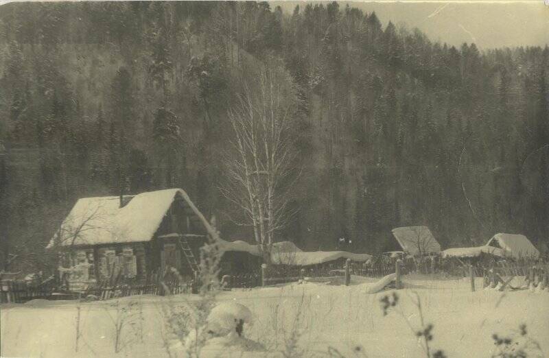 Фотография видовая, д. Карлово зимой.