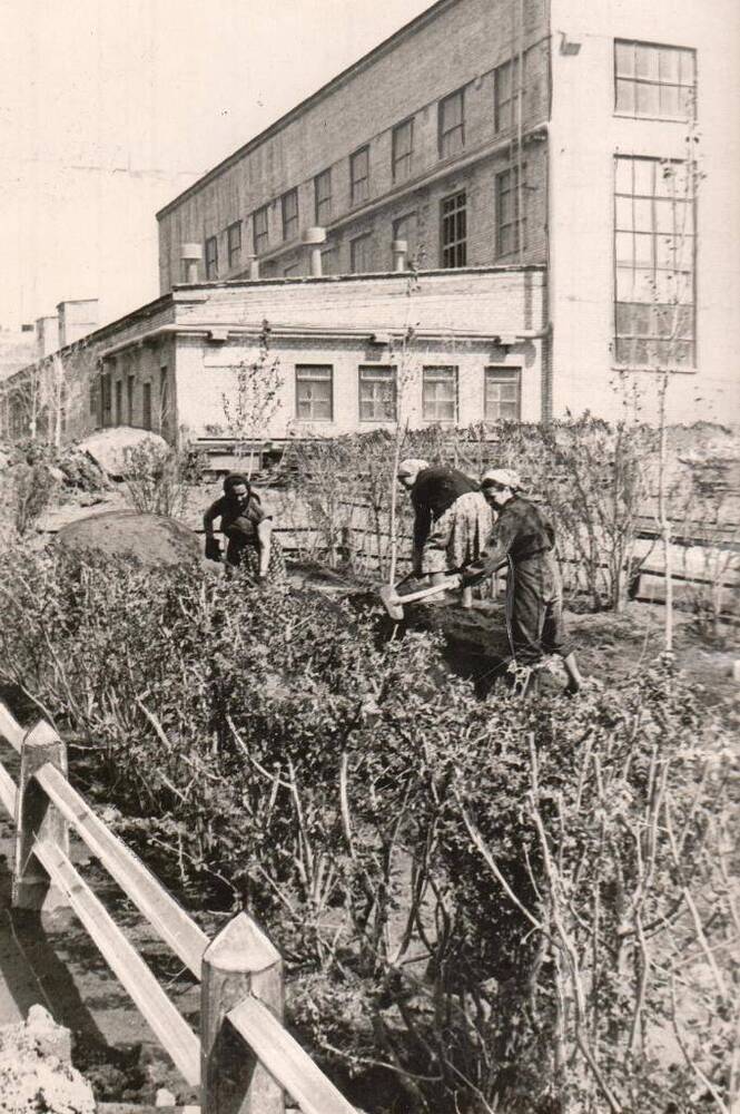 Фотография групповая сюжетная черно-белая. Цементный завод Большевик.